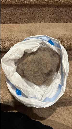 Screenshot 2025-11-20 055047.png